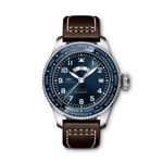 IWC Pilot's Watch Timezoner Edition 